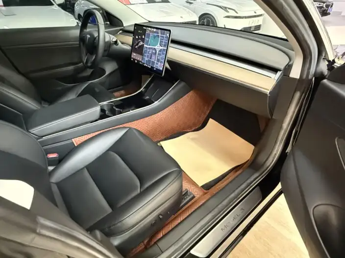 Model 3 2020 Model Facelift Standard Battery Life Rear Drive L Class Edition – фото 9