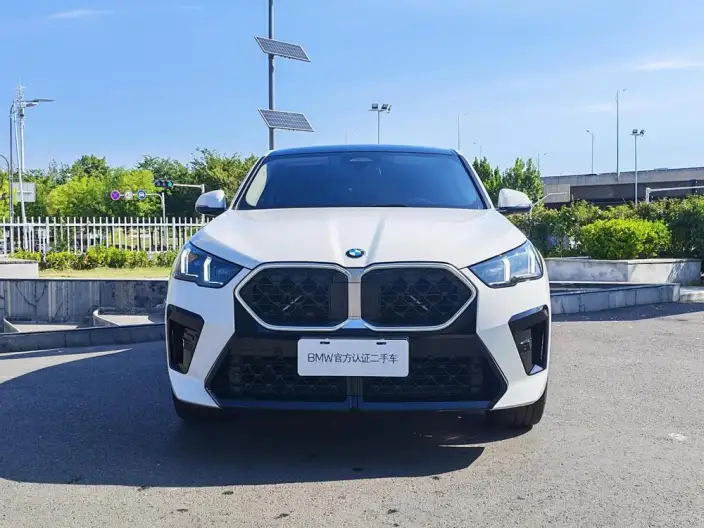 BMW X2 Imported 2024 Model sDrive25i M Sports Set – фото 2