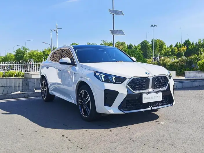 BMW X2 Imported 2024 Model sDrive25i M Sports Set – фото 3