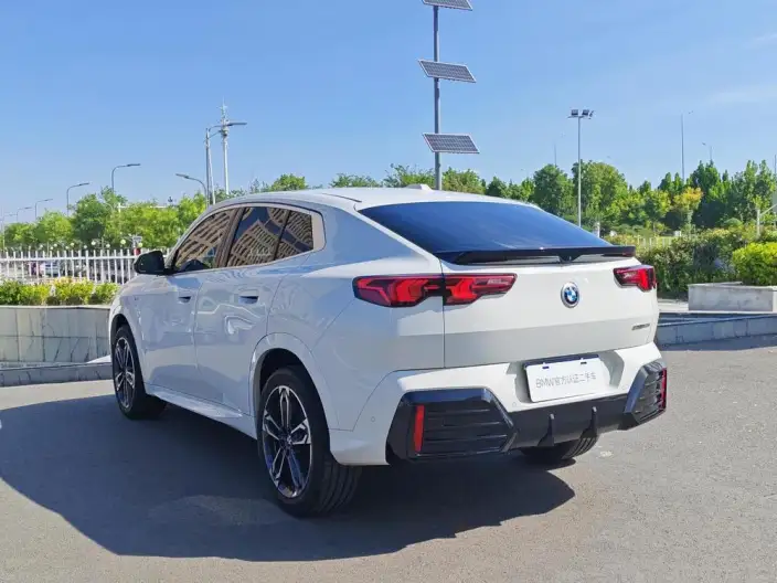 BMW X2 Imported 2024 Model sDrive25i M Sports Set – фото 5