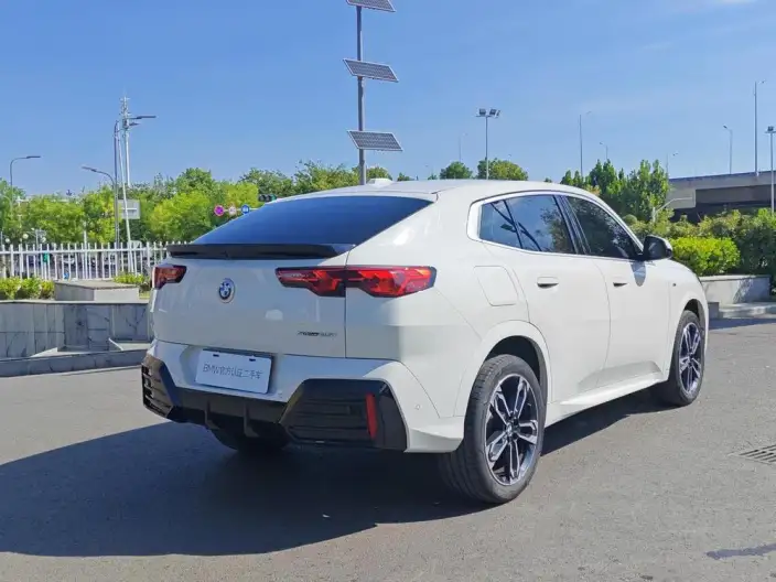 BMW X2 Imported 2024 Model sDrive25i M Sports Set – фото 7