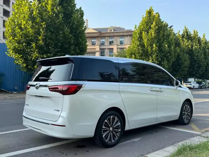 Buick GL8 2022 Model ES Luzun 653T Luxury Model – фото 6