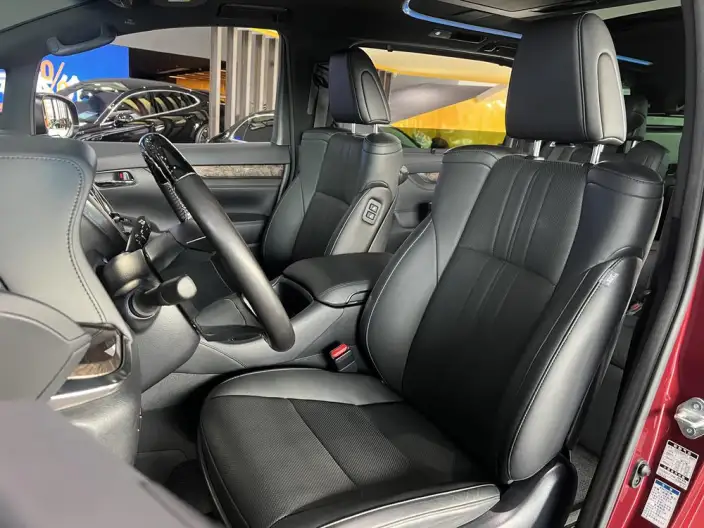Elfa 2020 Model Hybrid 2.5L Premium Edition – фото 7