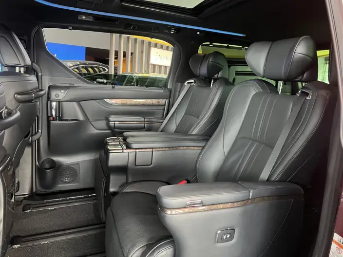 Elfa 2020 Model Hybrid 2.5L Premium Edition – фото 9