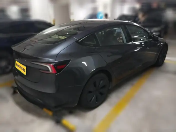 Model 3 2023 Model Long Battery Life Pro All-wheel drive version