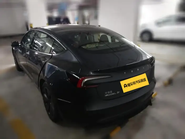 Model 3 2023 Model Long Battery Life Pro All-wheel drive version