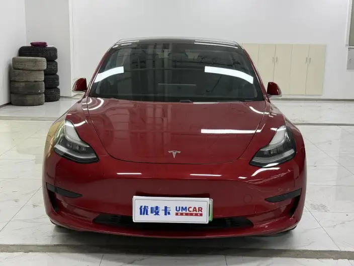 Model 3 2020 Model Standard Battery Life Rear Drive L Class Edition