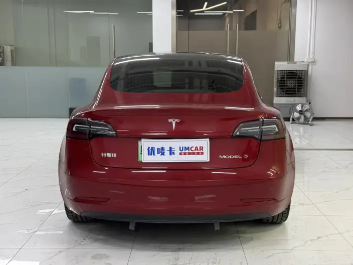 Model 3 2020 Model Standard Battery Life Rear Drive L Class Edition – фото 5
