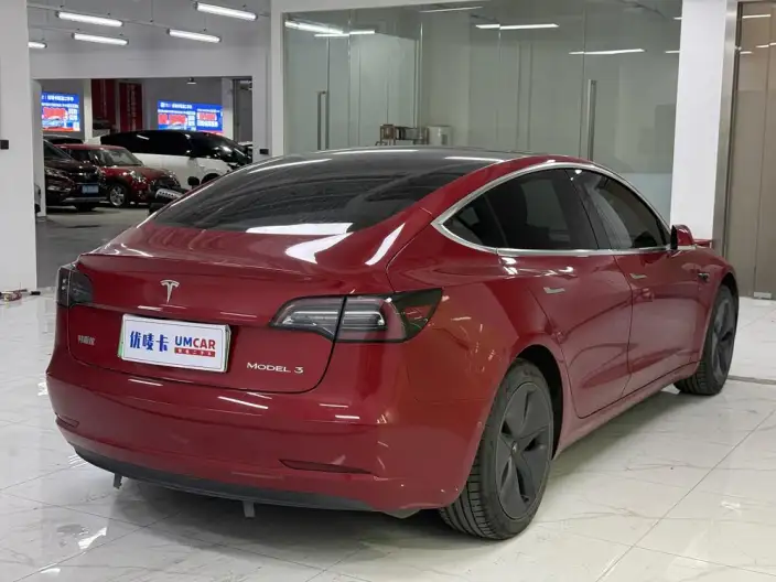 Model 3 2020 Model Standard Battery Life Rear Drive L Class Edition – фото 6