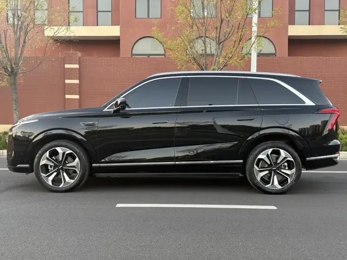 Wey Blue Mountain 2023 Model 4WD Ultra-long Endurance – фото 4