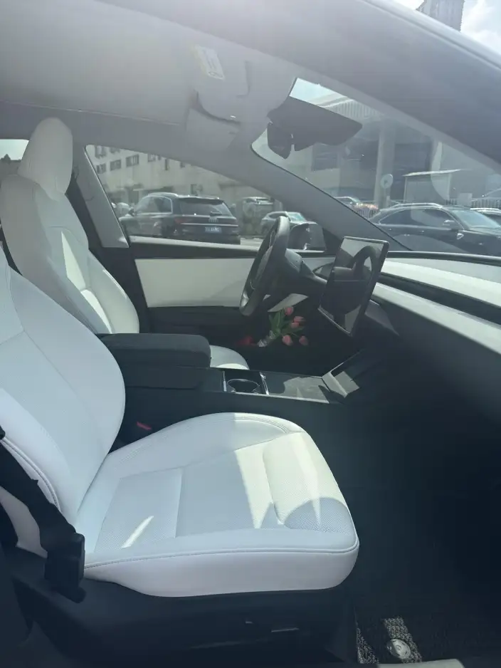 Model 3 2025 Model Facelift Rear-wheel drive version – фото 9