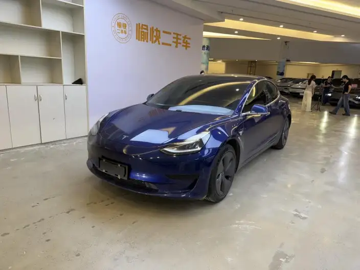 Model 3 2020 Model Standard Battery Life Rear Drive L Class Edition