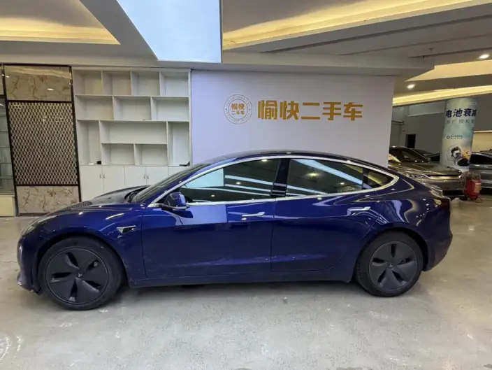 Model 3 2020 Model Standard Battery Life Rear Drive L Class Edition