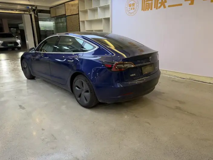 Model 3 2020 Model Standard Battery Life Rear Drive L Class Edition – фото 5