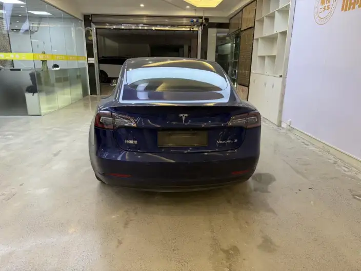 Model 3 2020 Model Standard Battery Life Rear Drive L Class Edition – фото 6
