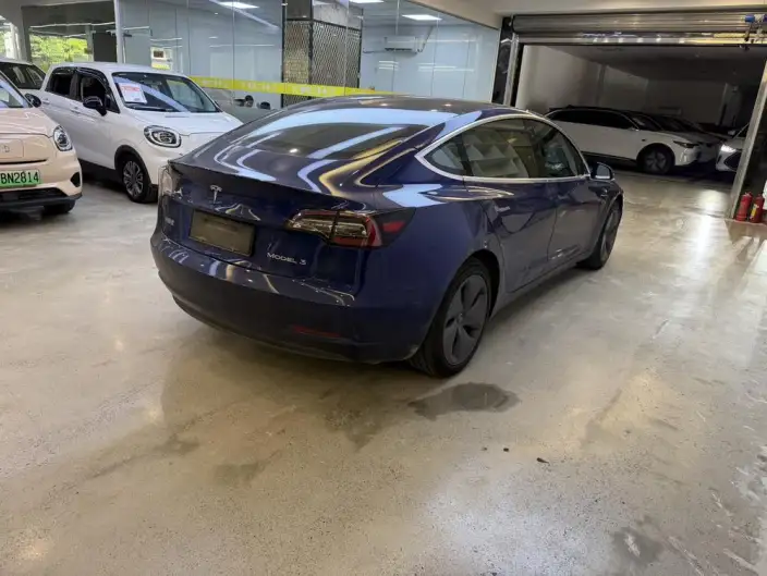Model 3 2020 Model Standard Battery Life Rear Drive L Class Edition – фото 7