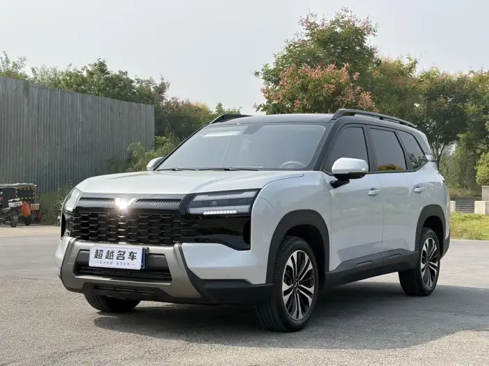 Xingguang 560 2026 Model 1.5T CVT Elite Model
