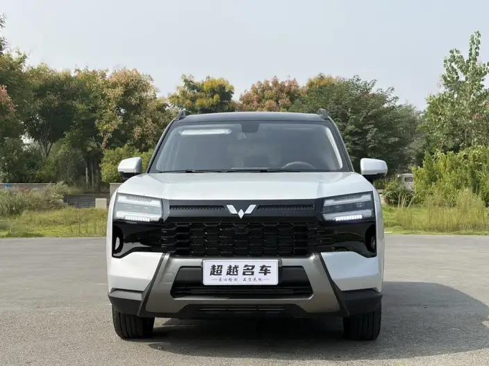 Xingguang 560 2026 Model 1.5T CVT Elite Model