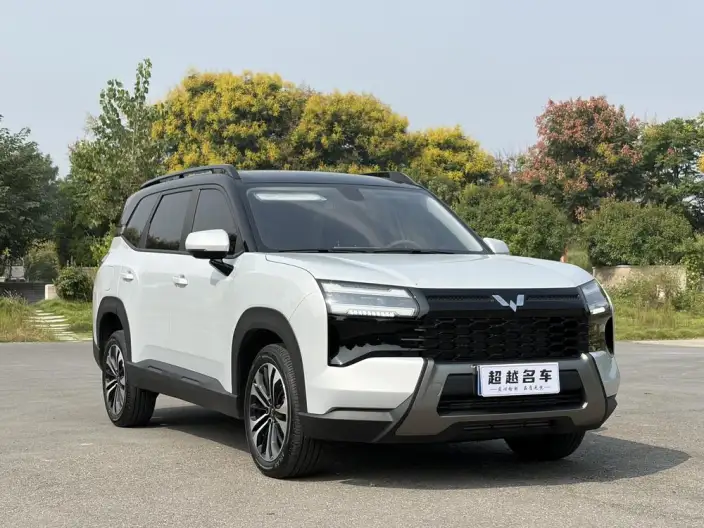 Xingguang 560 2026 Model 1.5T CVT Elite Model