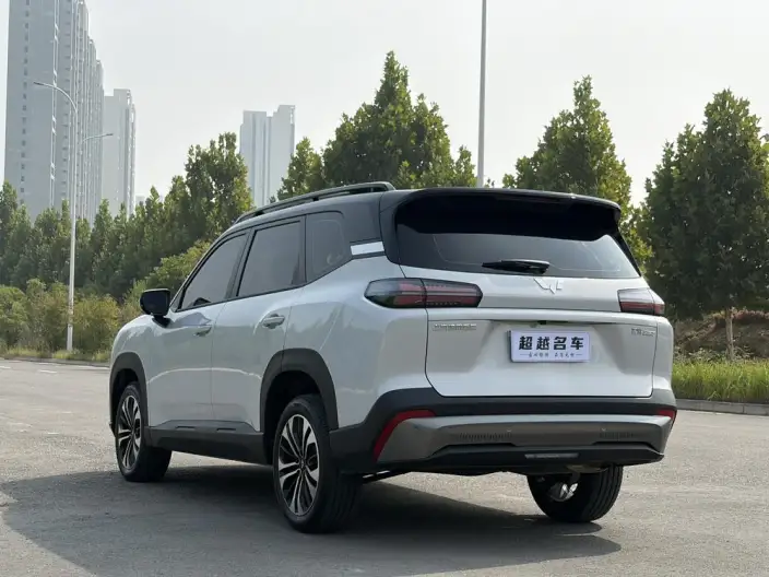 Xingguang 560 2026 Model 1.5T CVT Elite Model