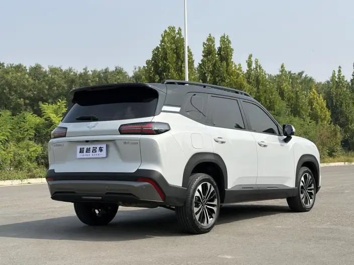 Xingguang 560 2026 Model 1.5T CVT Elite Model – фото 6