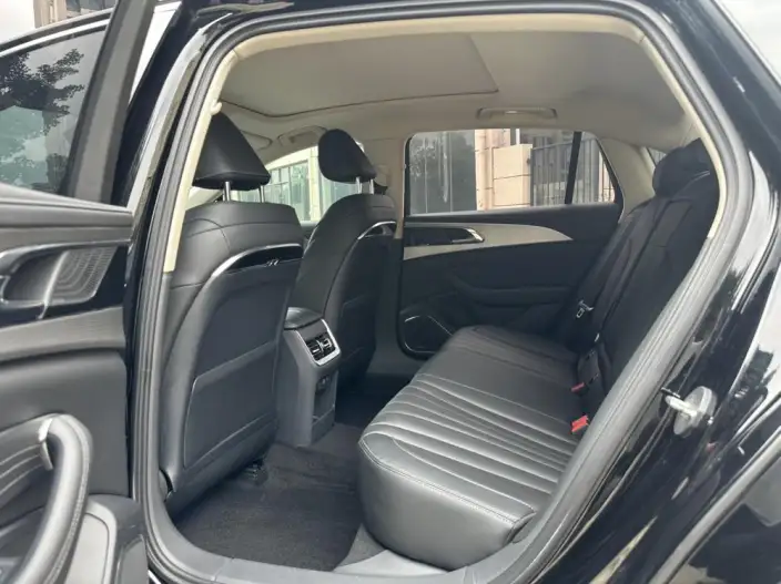Hongqi H5 2024 Model 2.0T Automatic Smart Flag Enjoy Edition – фото 9