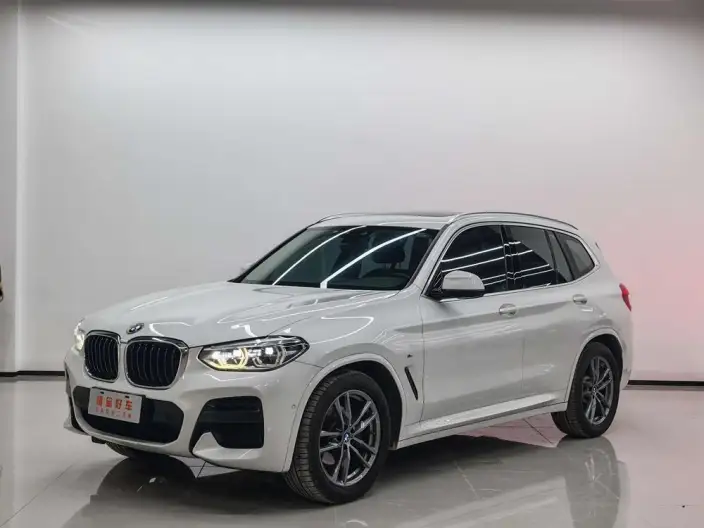 BMW X3 2020 Model xDrive25i M Sports Set – фото 1
