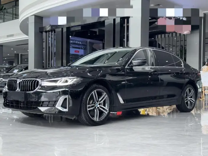 BMW 5 Series 2021 Model 530Li Leading Model Luxury Set – фото 1