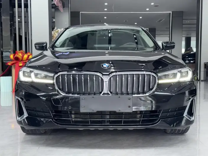 BMW 5 Series 2021 Model 530Li Leading Model Luxury Set – фото 2