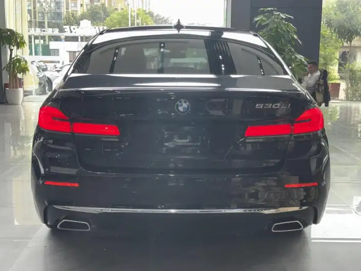 BMW 5 Series 2021 Model 530Li Leading Model Luxury Set – фото 4