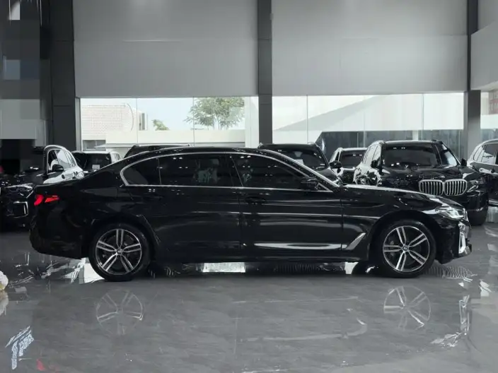 BMW 5 Series 2021 Model 530Li Leading Model Luxury Set – фото 5