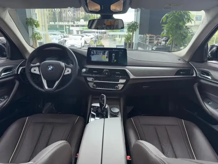BMW 5 Series 2021 Model 530Li Leading Model Luxury Set – фото 6