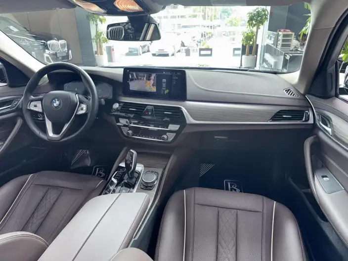 BMW 5 Series 2021 Model 530Li Leading Model Luxury Set – фото 7