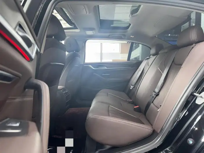 BMW 5 Series 2021 Model 530Li Leading Model Luxury Set – фото 8