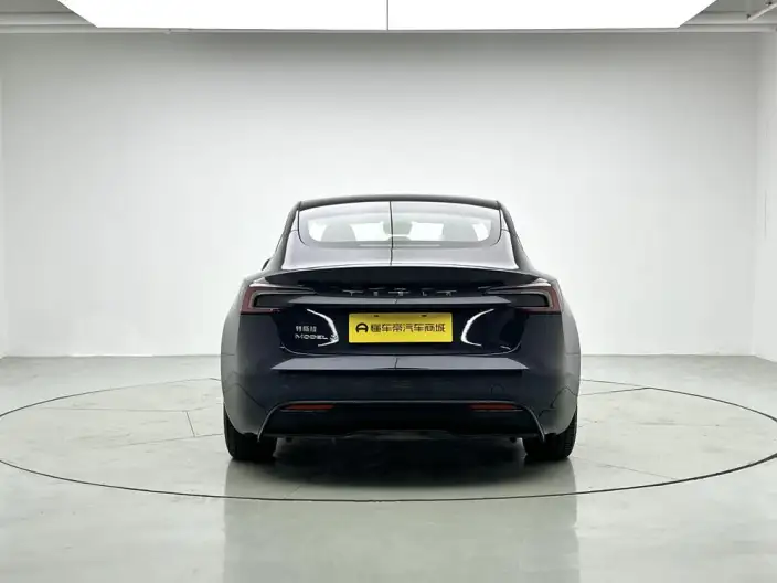 Model 3 2023 Model Rear-wheel drive version – фото 6