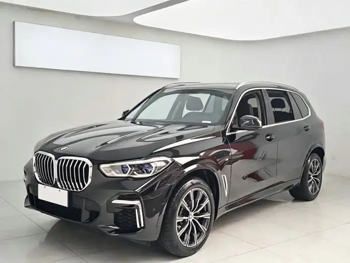 BMW X5 2023 Model xDrive30Li Exclusive Model M Sports Set – фото 1