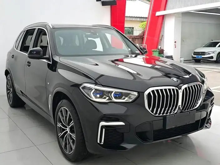 BMW X5 2023 Model xDrive30Li Exclusive Model M Sports Set – фото 3