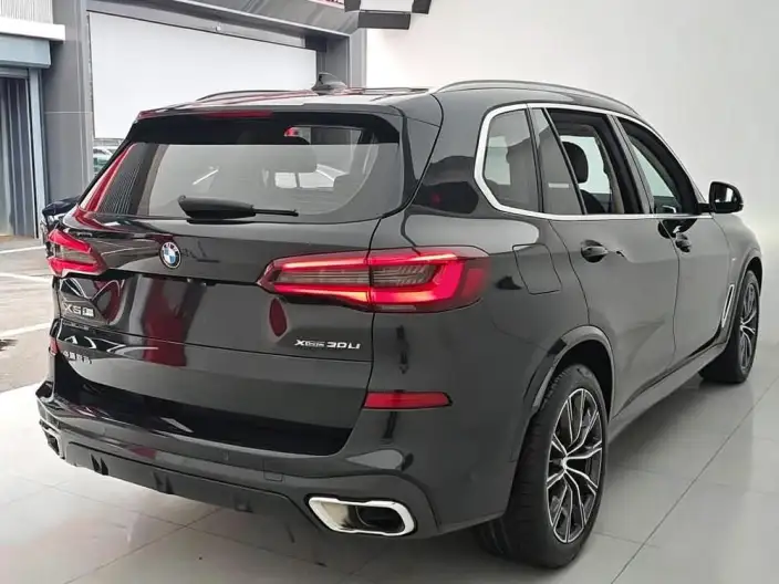 BMW X5 2023 Model xDrive30Li Exclusive Model M Sports Set – фото 6