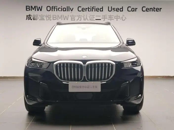 BMW X5 2025 Model xDrive30Li Exclusive Model M Sports Night Set – фото 2