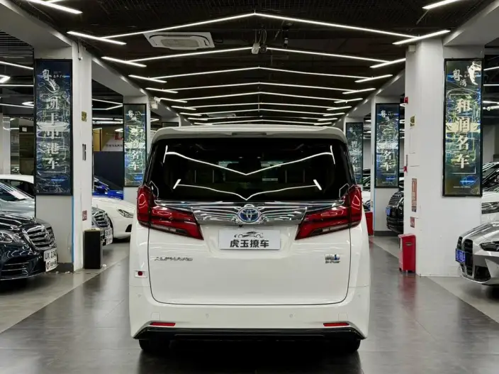 Elfa 2021 Model Hybrid 2.5L Deluxe Edition – фото 5