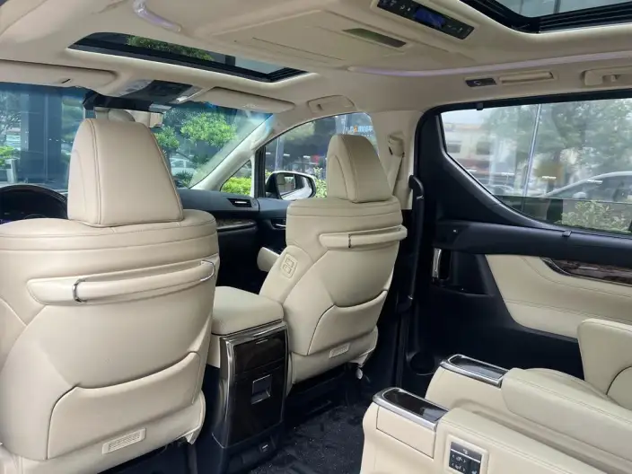 Elfa 2020 Model Hybrid 2.5L Deluxe Edition – фото 5
