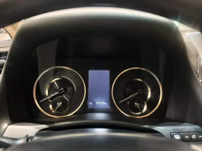 Elfa 2020 Model Hybrid 2.5L Deluxe Edition – фото 6