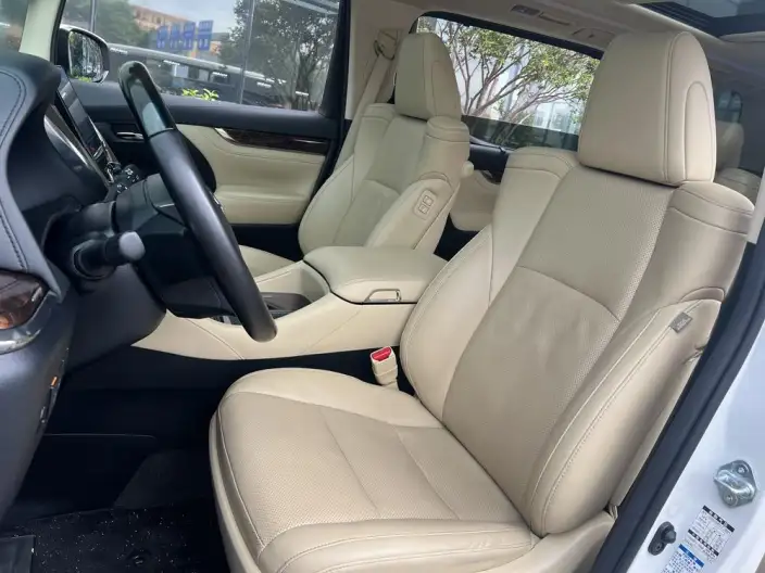 Elfa 2020 Model Hybrid 2.5L Deluxe Edition – фото 8