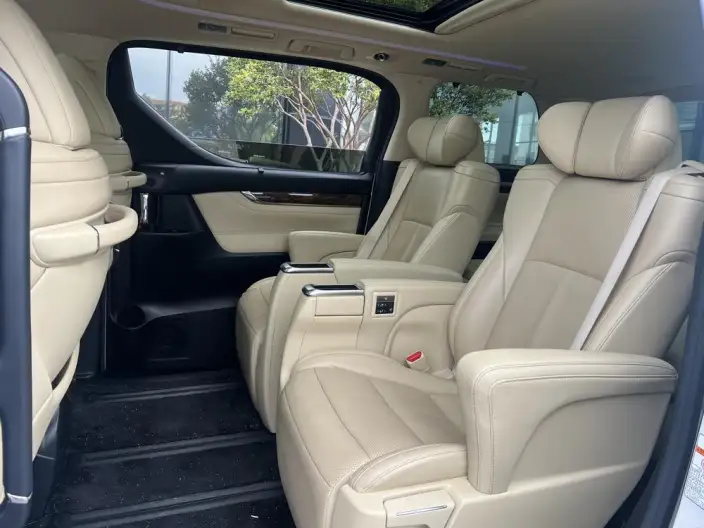 Elfa 2020 Model Hybrid 2.5L Deluxe Edition – фото 9