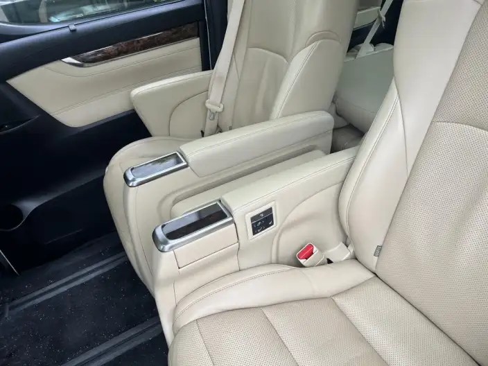 Elfa 2020 Model Hybrid 2.5L Deluxe Edition – фото 10