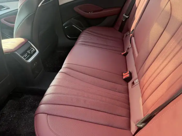 Hongqi H5 2025 Model 2.0T Automatic Flag Enjoy Edition – фото 9