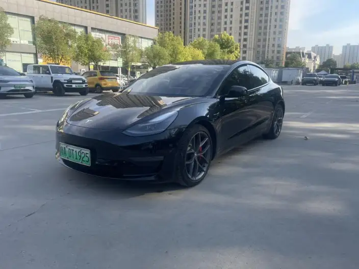 Model 3 2021 Model Performance High performance All-wheel drive version 3D3/3D1 – фото 1