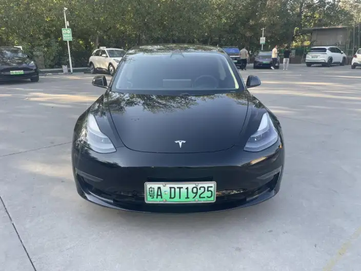 Model 3 2021 Model Performance High performance All-wheel drive version 3D3/3D1 – фото 2