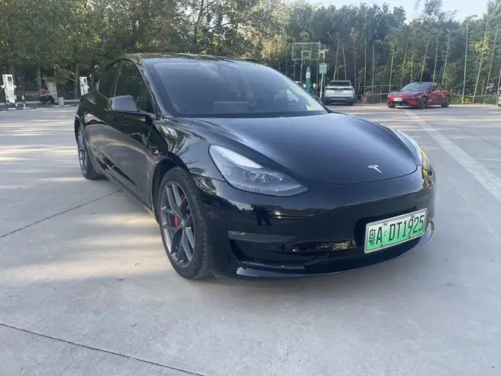 Model 3 2021 Model Performance High performance All-wheel drive version 3D3/3D1 – фото 3