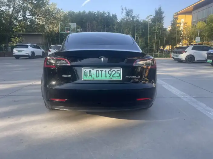 Model 3 2021 Model Performance High performance All-wheel drive version 3D3/3D1 – фото 5